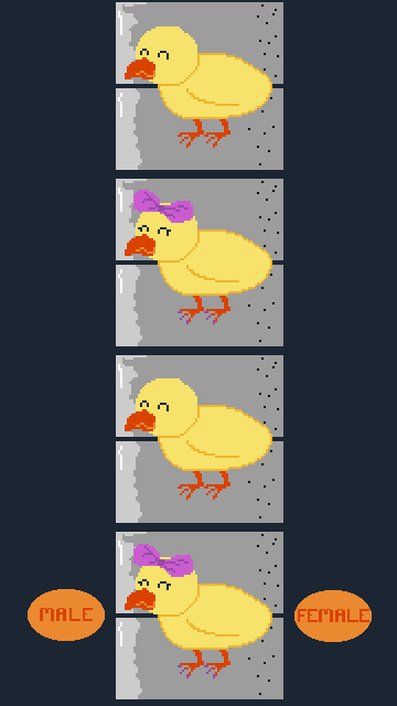 Sex-a-Chicken